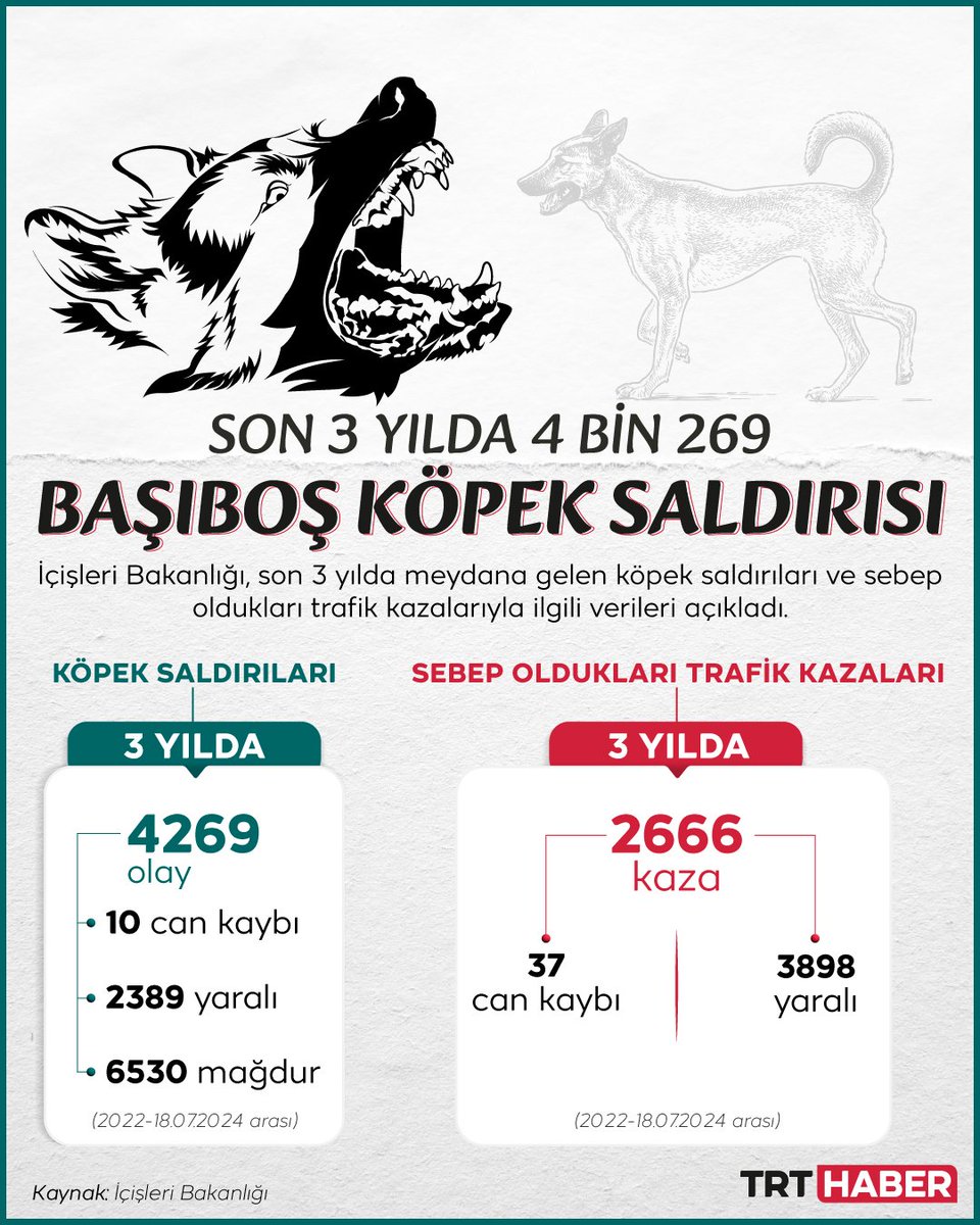 AliFuadAZAD's tweet image. Başıboş sokak köpekleri son 3 yılda 4 bin 269 kişiye saldırdı, 2 bin 666 trafik kazasına neden oldu. #BaşıboşKöpekler #SokakKöpekleri