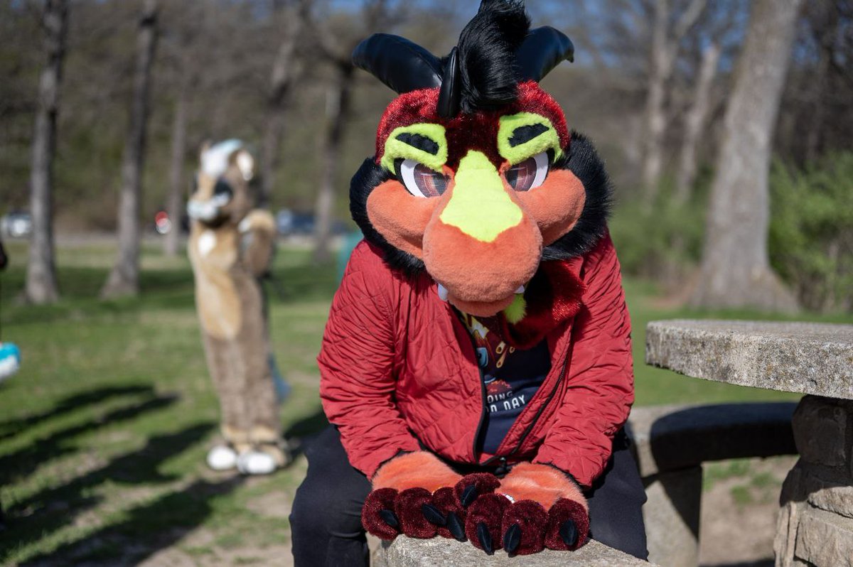 Sorry it took forever!! I had to dig around to find it!!

📷: <a href="/luckyringtail/">Lucky Ringtail</a>