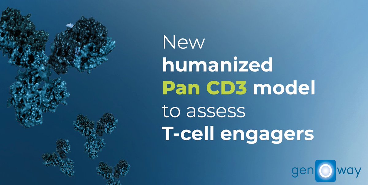 Our double humanized HSA/FcRn mouse model is a valuable tool for preclinical development of HSA and FcRn-oriented therapeutics in a variety of fields, such as oncology, infectious diseases, and autoimmune diseases 👉genoway.com/product/catalo…