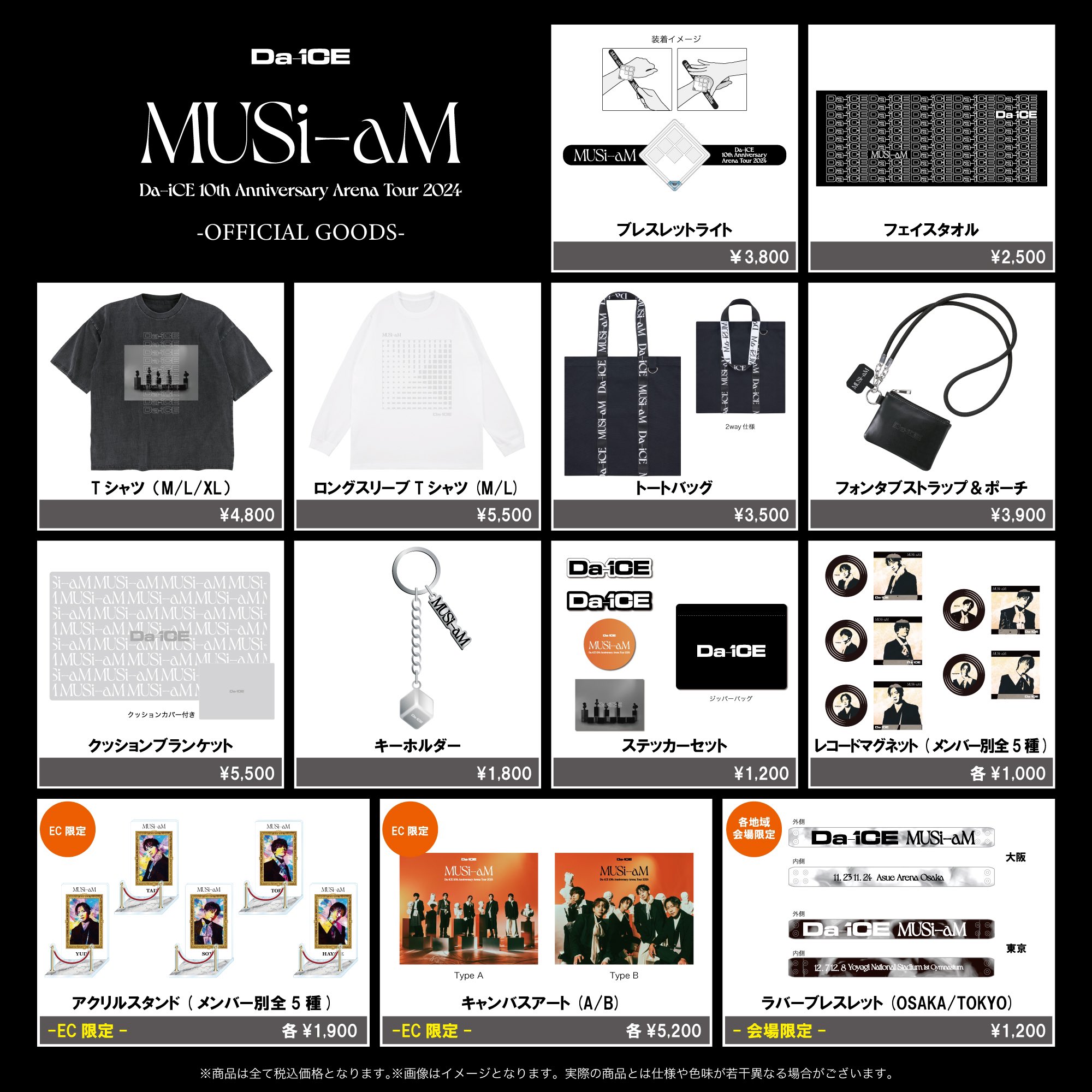 Da-iCE 過去グッズ NEXT PHASE ツアーグッズ MA-1 Lサイズ