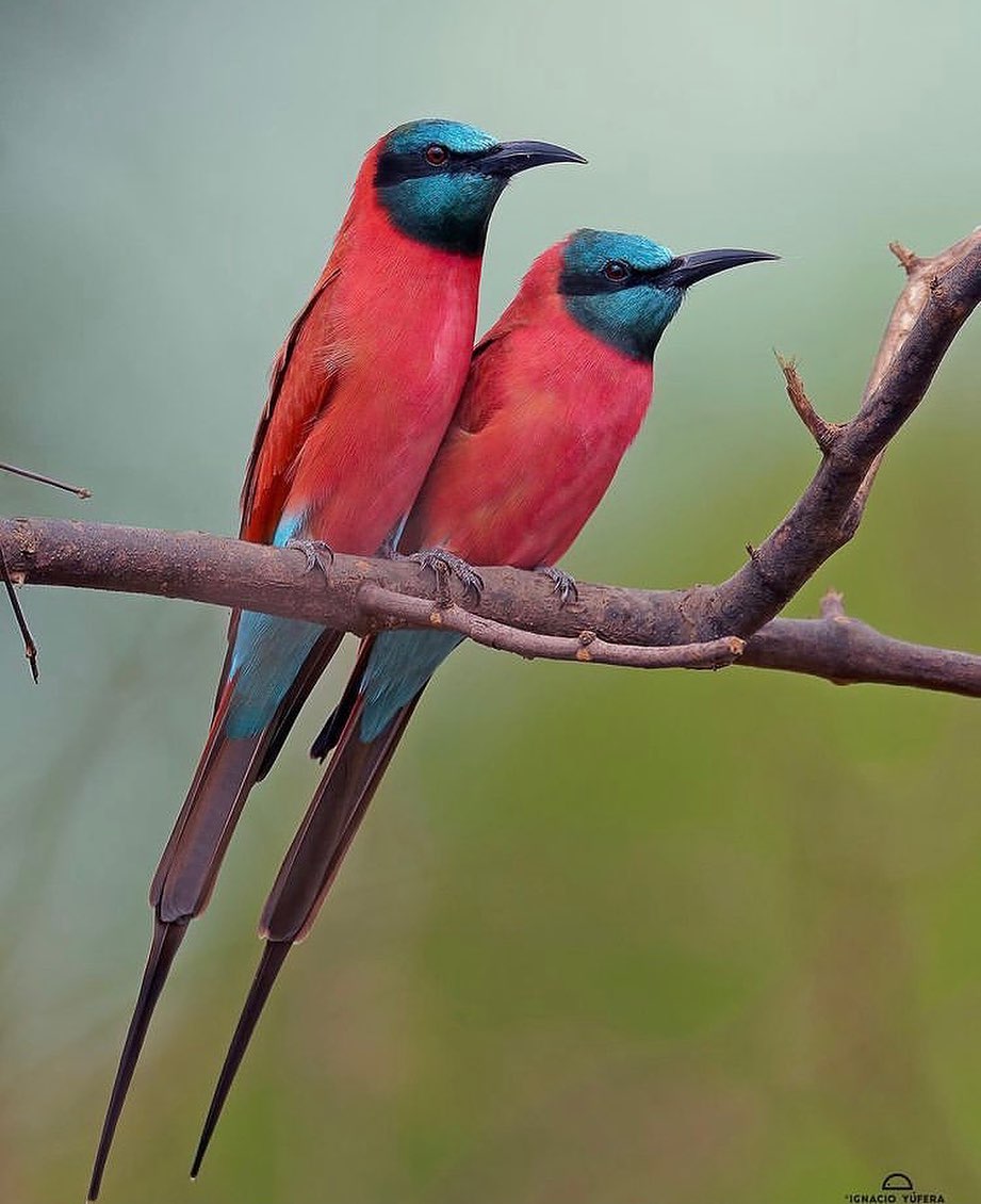 GWnuuR_bIAE-Xn4?format=jpg&name=medium