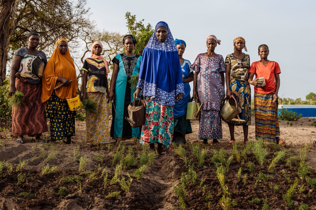 "Solutions to address the nexus of climate change and human mobility at a continental scale are urgent."

<a href="/IOMchief/">Amy Pope</a> at <a href="/AfClimateSummit/">Africa Climate Summit</a> emphasized KDMECC-AFRICA as key to tackling climate-induced mobility in Africa.

Read the 25 commitments: bit.ly/3TfjjXJ