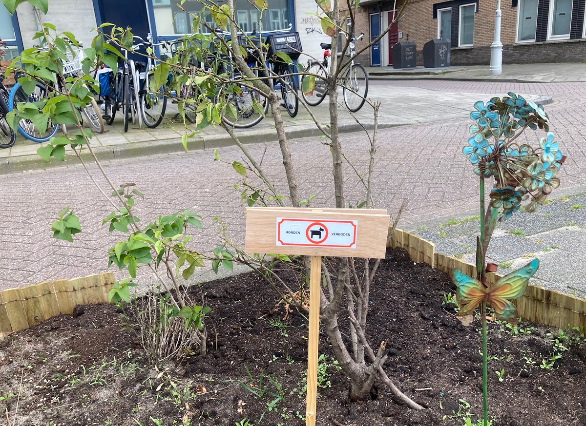 bultenhollanda's tweet photo. Dog poop on pavements is irritant number one, say Dutch https://t.co/VE0PmoRuJf https://t.co/DTIibLZnBA