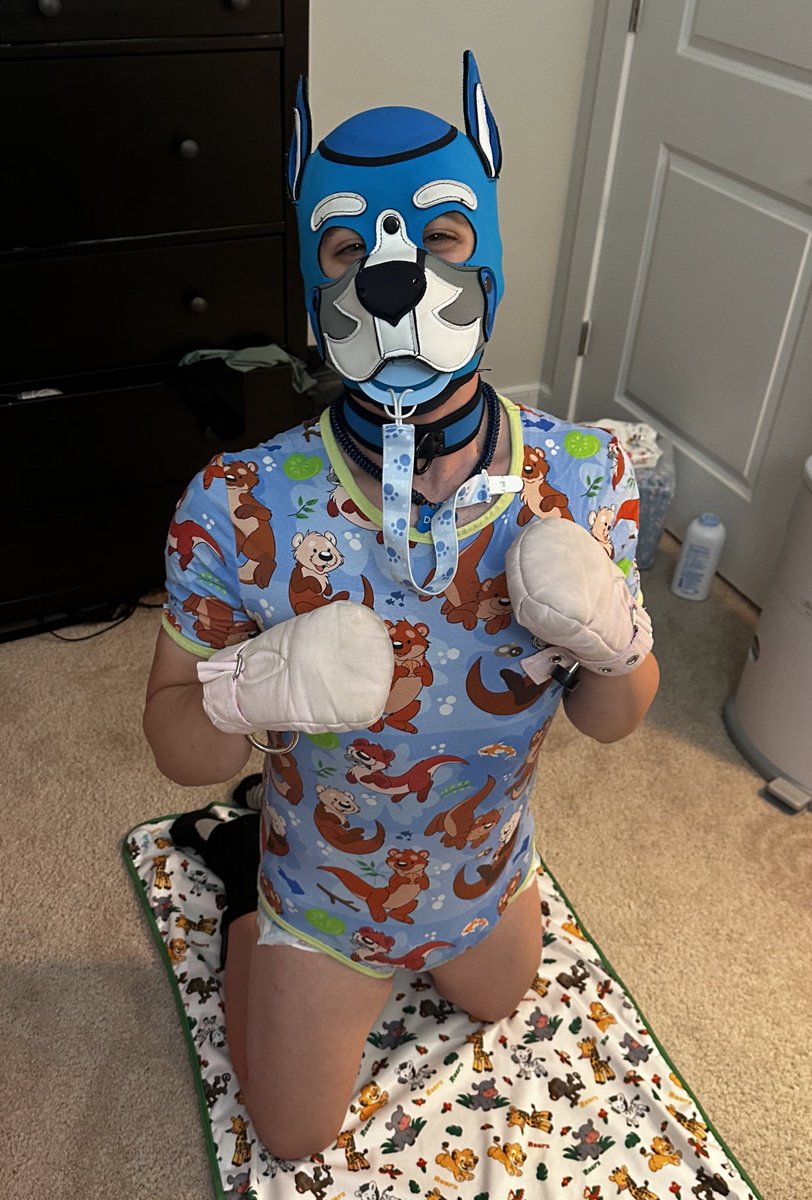 Would you say no to this puppy?

📸:<a href="/LittleTwitch2/">Little Twitchy</a>