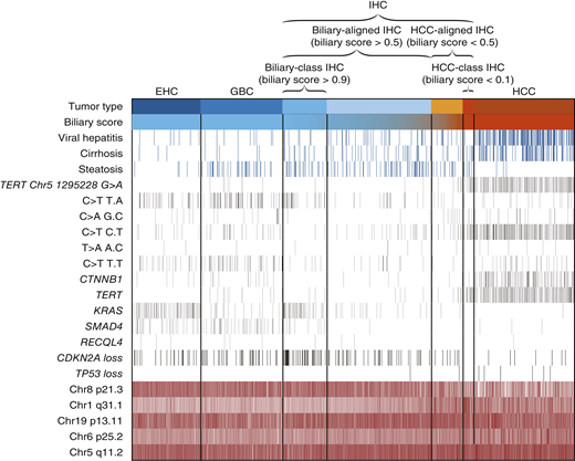 MSK Library (@msklibrary) on Twitter photo Featured today by <a href="/MSKLibrary/">MSK Library</a>: A Novel Approach to Quantify Heterogeneity of Intrahepatic Cholangiocarcinoma: The Hidden-Genome Classifier
#study #tumors #hiddengenomeclassifier <a href="/ThomasBoernerMD/">Thomas Boerner, MD, MSc</a> <a href="/drillybit/">Esther Drill</a> <a href="/carliesigel/">cssigel</a> <a href="/AndreaCercek/">Andrea Cercek</a> <a href="/GABOUALFA/">Ghassan Abou-Alfa</a> <a href="/ciacobu/">Chris Iacobuzio</a> <a href="/CowzerDarren/">Darren Cowzer</a> <a href="/hswalch/">Henry Walch</a> Featured today by <a href="/MSKLibrary/">MSK Library</a>: A Novel Approach to Quantify Heterogeneity of Intrahepatic Cholangiocarcinoma: The Hidden-Genome Classifier
#study #tumors #hiddengenomeclassifier <a href="/ThomasBoernerMD/">Thomas Boerner, MD, MSc</a> <a href="/drillybit/">Esther Drill</a> <a href="/carliesigel/">cssigel</a> <a href="/AndreaCercek/">Andrea Cercek</a> <a href="/GABOUALFA/">Ghassan Abou-Alfa</a> <a href="/ciacobu/">Chris Iacobuzio</a> <a href="/CowzerDarren/">Darren Cowzer</a> <a href="/hswalch/">Henry Walch</a>