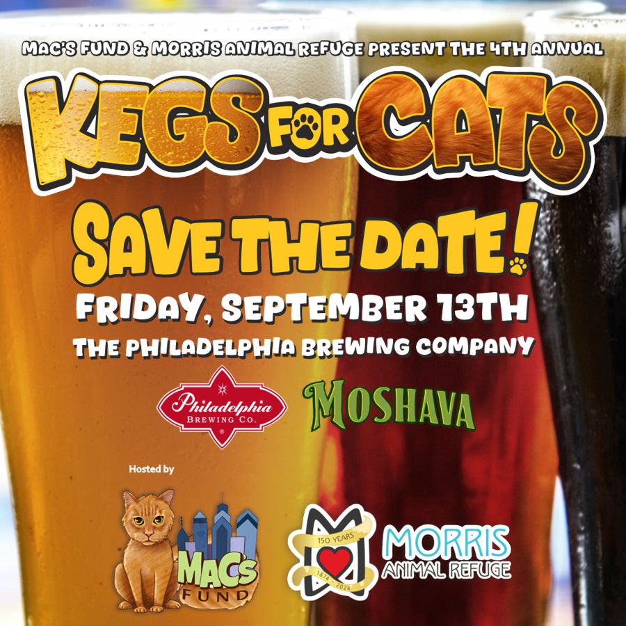 Join Mac's Fund and Morris Animal Refuge for the 4th Annual Kegs for Cats!  Enjoy live music from Kitty Rotten, delicious food from Moshava Food Truck,  amazing  beer and cider from Philadelphia Brewing Company, great raffles and more!  go.rallyup.com/kegs4cats/Camp…