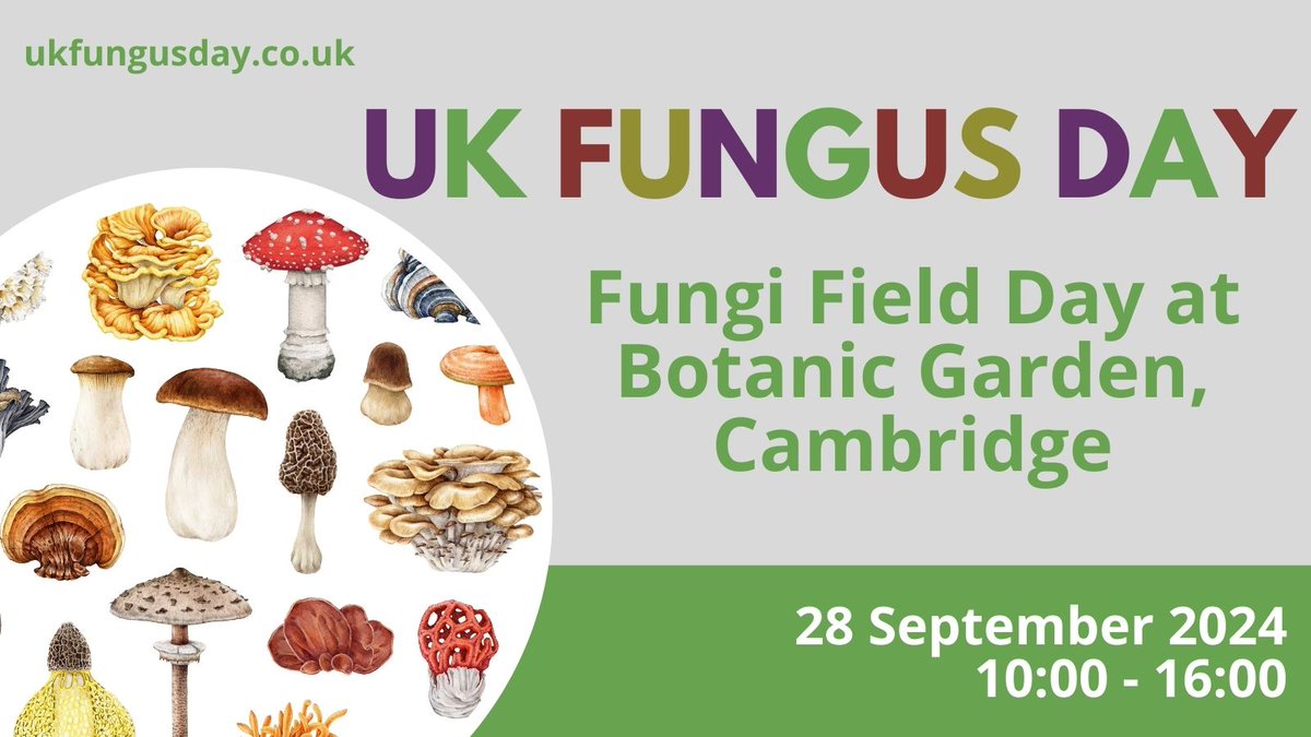 UK Fungus Day (@ukfungusday) on Twitter photo Come along to <a href="/CUBotanicGarden/">Cam Botanic Garden</a> event for #ukfungusday on 28 Sept, featuring talks on the interactions between fungi & plants, look through a microscope to see fungi living in plant roots, enjoy some fungi-inspired art, and guided forays in the Garden: ukfungusday.co.uk/universities Come along to <a href="/CUBotanicGarden/">Cam Botanic Garden</a> event for #ukfungusday on 28 Sept, featuring talks on the interactions between fungi & plants, look through a microscope to see fungi living in plant roots, enjoy some fungi-inspired art, and guided forays in the Garden: ukfungusday.co.uk/universities