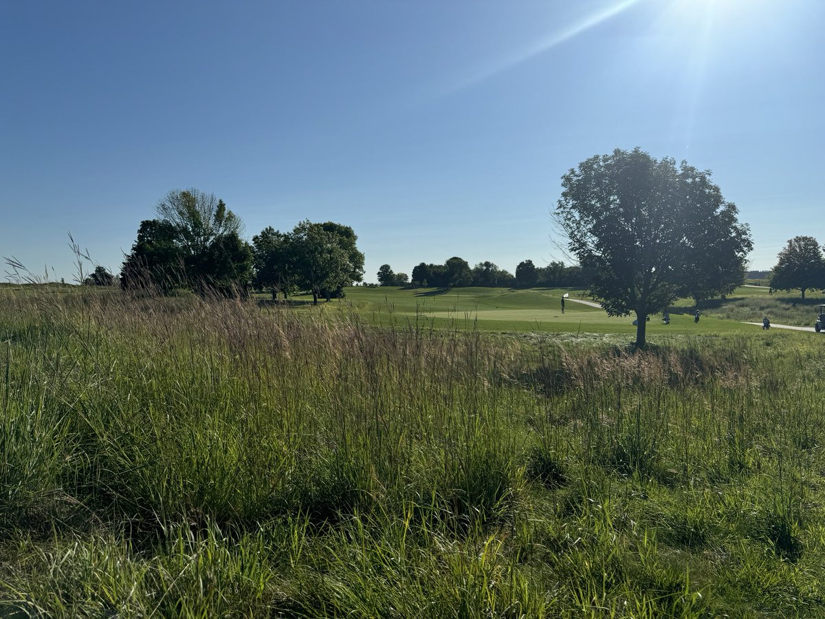 MHSBobcatGolf's tweet image. Perfect day for golf as the Bobcats compete in the Ankeny Hawks Invitational at Otter Creek. 

Scoresheet:

docs.google.com/spreadsheets/d…