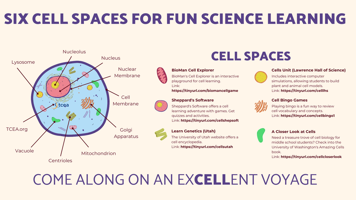 TCEA's tweet image. 👨‍🔬Teaching #science and looking for interactive resources about plant and/or animal cells? Explore these free websites.

sbee.link/6fqja7n9ky
#scichat #mschat #teachertwitter