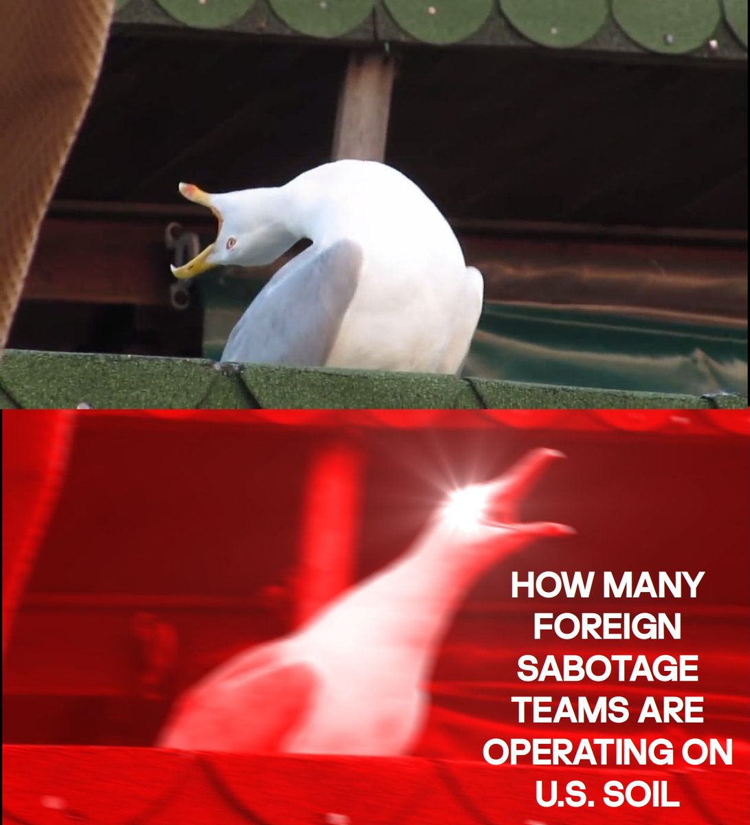 (obligatory cc <a href="/JoshuaSteinman/">joshua steinman (🇺🇸,🇺🇸)</a>)