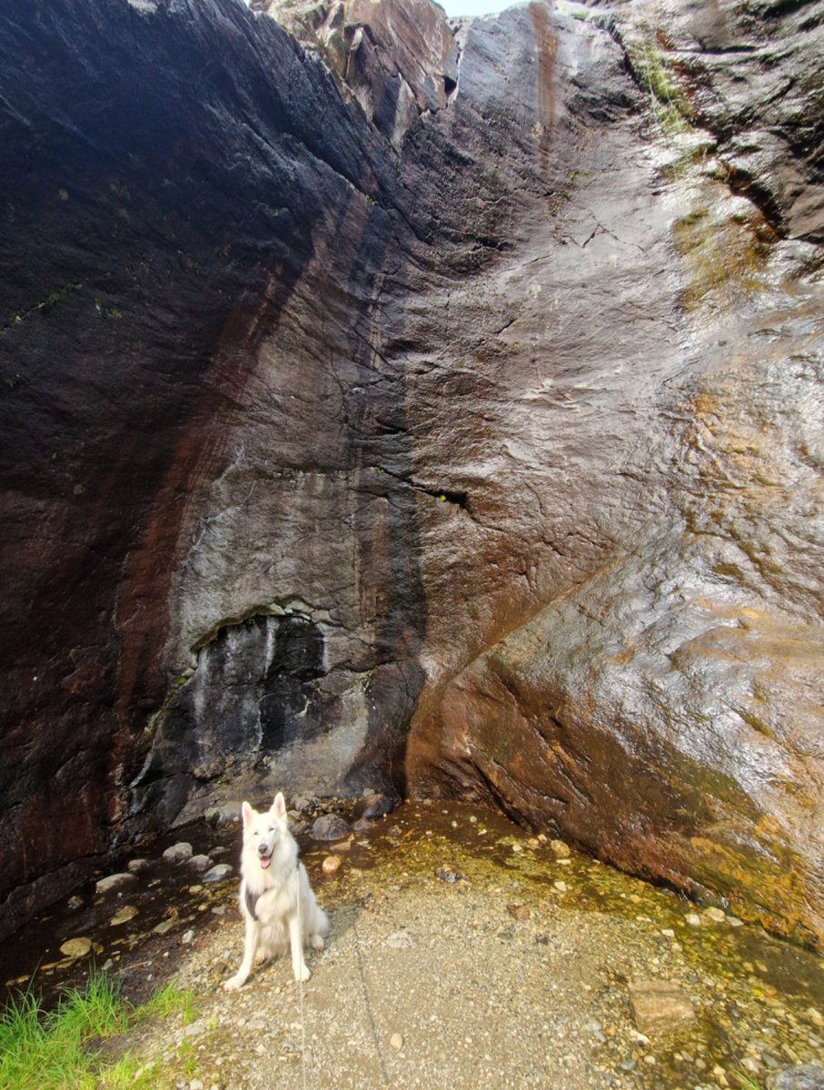 Kendrick Resources (@kendrickres) on Twitter photo 