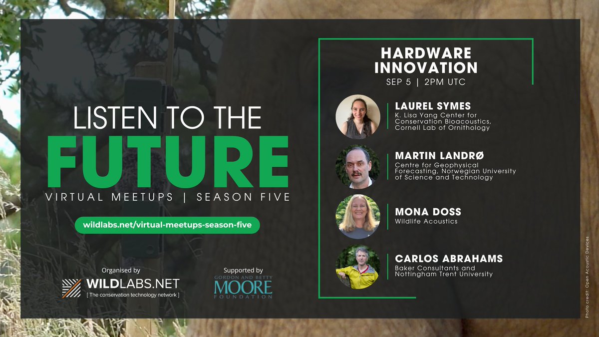 Tune into the first event of our #bioacoustics Virtual Meetup Series tomorrow!

Hear about the next generation of acoustic recorders,  standardized protocols for soil ecoacoustics, &amp; using fiber-optic networks for advanced acoustic sensing.

Register here: wildlabs.net/event/wildlabs…