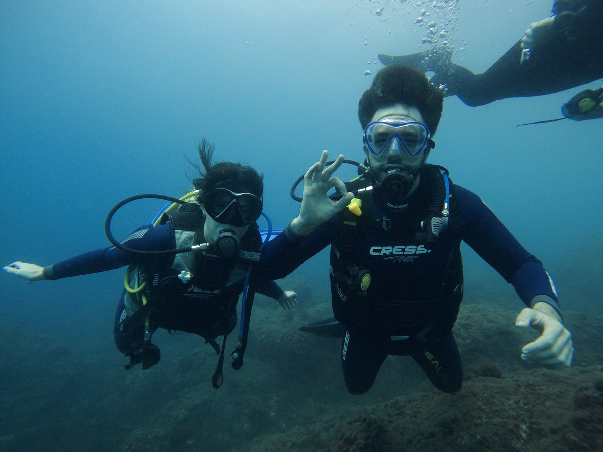 mariabeatto's tweet photo. Bajo el mar 🪸 https://t.co/jjGofskJhC