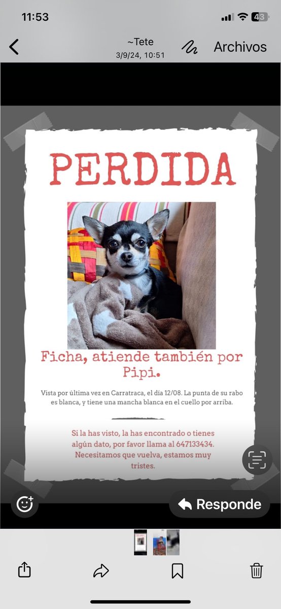 Quienes desde anoche que lo publiqué lo habéis compartido, sabed que es un “click” que se agradece en el alma. 

Me dice mi amiga que os dé las gracias y yo también os las doy. GRACIAS a la gente que echa una mano sin pensárselo. 

Seguimos. A ver si aparece…