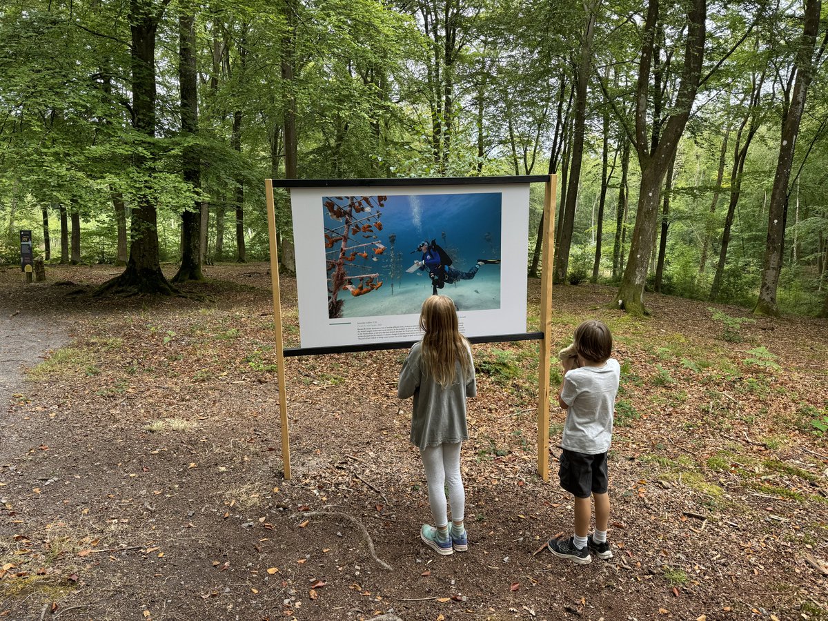 Jessica Aldred (@j_aldred) on Twitter photo I was VERY excited to see this <a href="/pulitzercenter/">Pulitzer Center</a>-supported photo by <a href="/jadlerphoto/">Jennifer Adler</a> as part of the Earth Photo Awards that is touring the UK right now in some stunning locations. This is my children checking out the exhibition at the <a href="/aliceholtforest/">Alice Holt Forest - Forestry England</a> in the South Downs national park I was VERY excited to see this <a href="/pulitzercenter/">Pulitzer Center</a>-supported photo by <a href="/jadlerphoto/">Jennifer Adler</a> as part of the Earth Photo Awards that is touring the UK right now in some stunning locations. This is my children checking out the exhibition at the <a href="/aliceholtforest/">Alice Holt Forest - Forestry England</a> in the South Downs national park