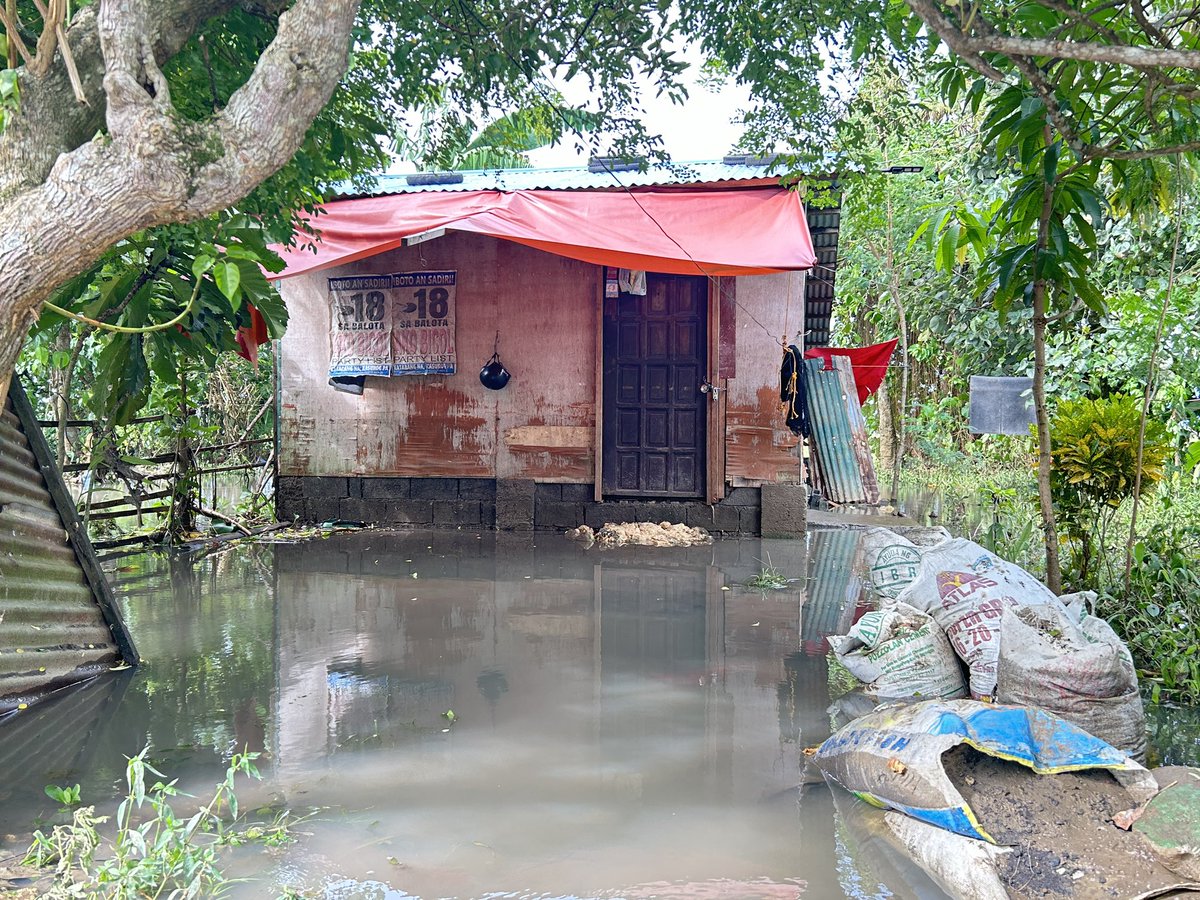 pads_nosi's tweet image. Hanggang ngayon ay lubog pa din sa tubig ang ilang mga kabahayan sa ilang barangay sa Minalabac, Camarines Sur mula noong September 2. Ito ay dahil ng pag-apaw ng tubig mula sa Bicol River dahil sa TC #EntengPH. Malaking pinsala din ang dulot sa mga pananim ng mga residente dito.