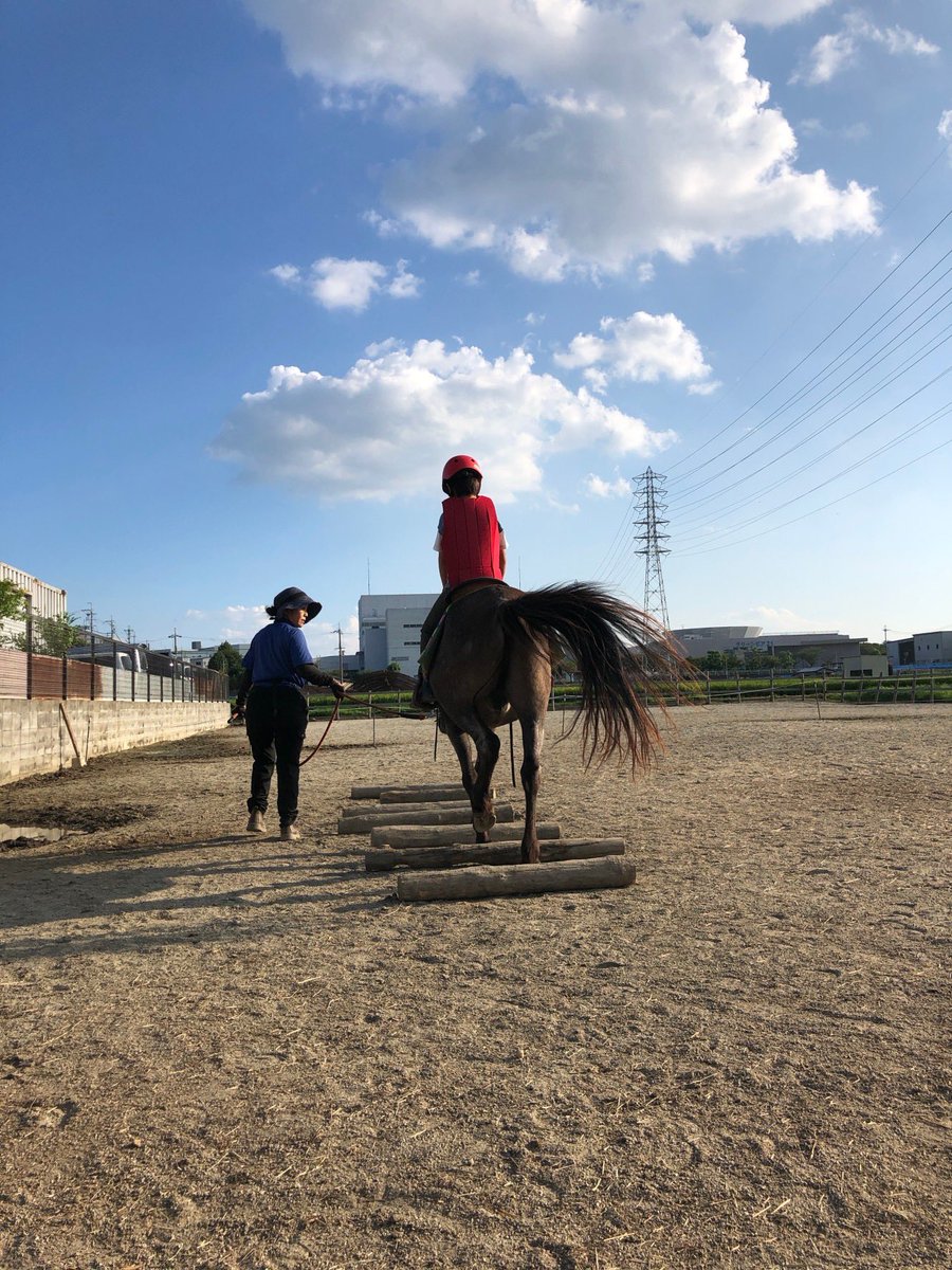 tenba20240101's tweet photo. 子供達と一緒は楽しいよ😆

byテディ

みんなでウキウキやってます☺️

#ホースセラピー　#乗馬　#ふれあい　#大阪府柏原市　#放課後等デイ　#tenba #和種馬ホースランド　#お世話　#テディ https://t.co/BDCVdnswKy