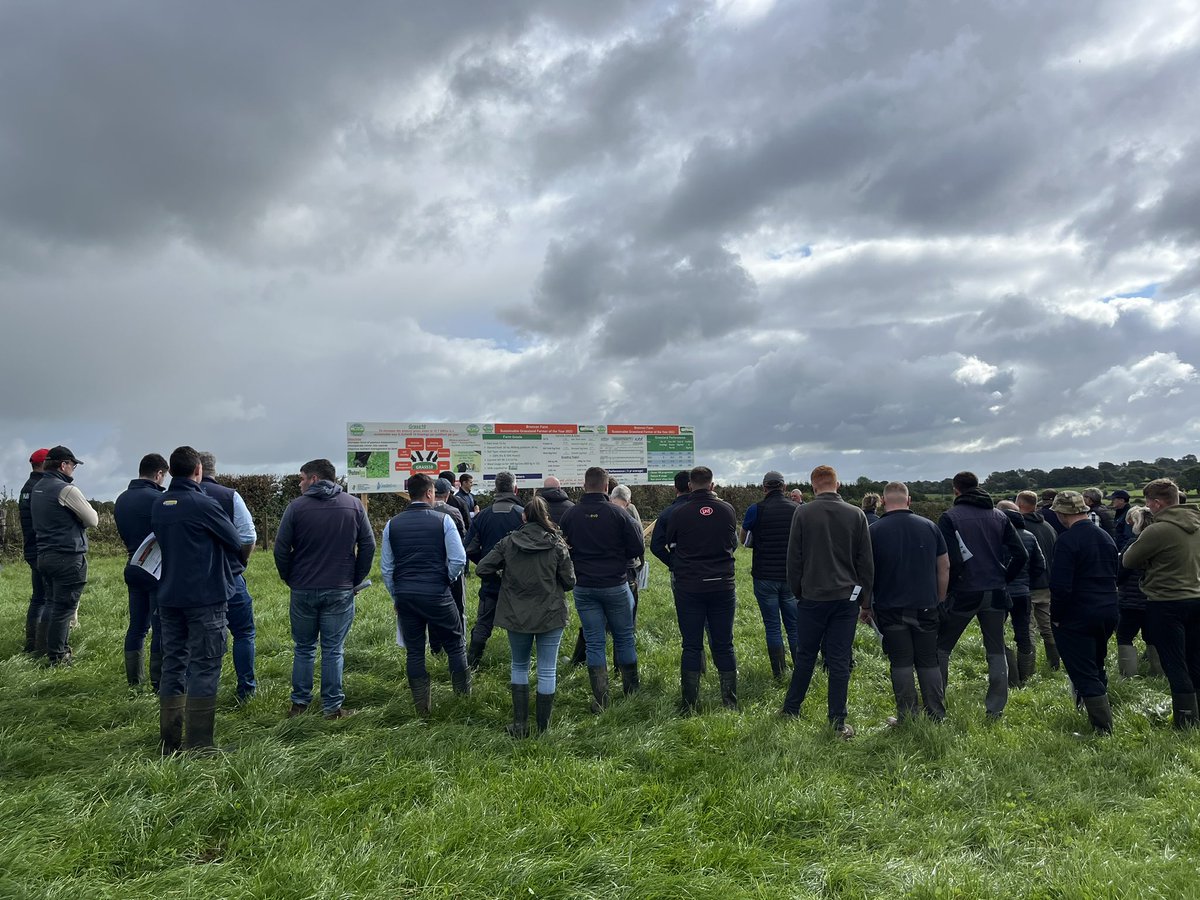 Eamonn O'Reilly tweet media