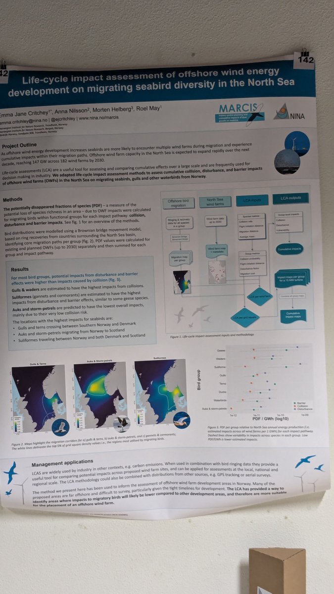If anyone at #CoimbraSeabirds is interested in new methods for assessing impacts of offshore wind on seabirds, come take a look at my poster (142) on LCAs at the poster session this evening!