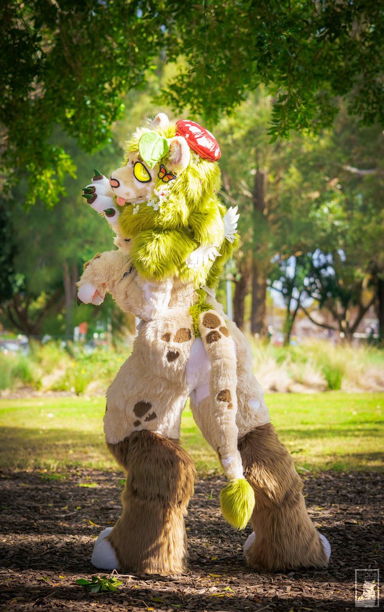 <a href="/HijackTheJackal/">malachi / jackal</a> This one from <a href="/shoobphotos/">meta does photos📸</a> is my favourite photo literally ever 😤😤😤💖💖💖