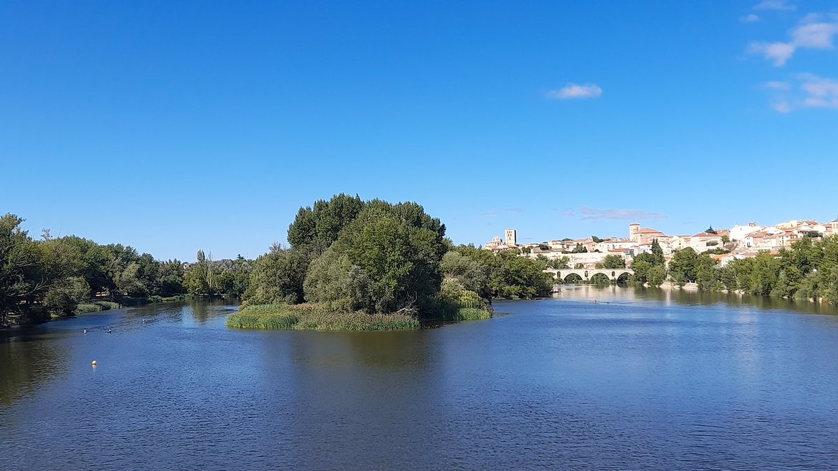 Día despejado en Zamora, 19 grados. <a href="/agomezmeteo_tve/">Andrés Gómez</a> <a href="/ElTiempo_tve/">El Tiempo en TVE</a> <a href="/ElTiempoA3/">El Tiempo de Antena 3</a> <a href="/fcocachometeo/">Francisco Cacho</a> <a href="/lasextameteo/">La Sexta Meteo</a> <a href="/sibilafc/">Silvia Ferrer</a> <a href="/TiempoCyLTV/">El Tiempo en CyL</a> <a href="/anamaria190977/">Ana María Herrero</a> <a href="/martinraul16/">Raúl Martín☀️⛈🚴🏼‍♂️🎄🌟</a> <a href="/tomeandres/">Andrés Tomé</a>