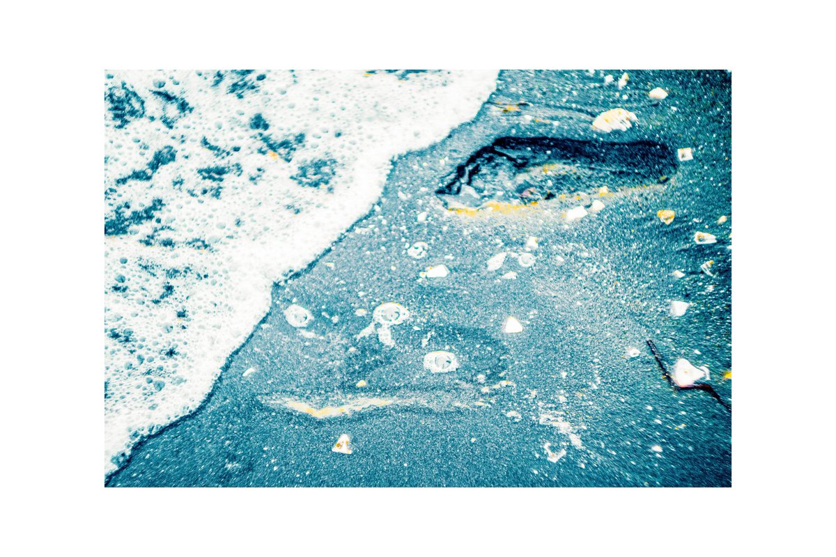 杉本健太/写真家【5/15〜17 渋谷ギャラリールデコ】 tweet media