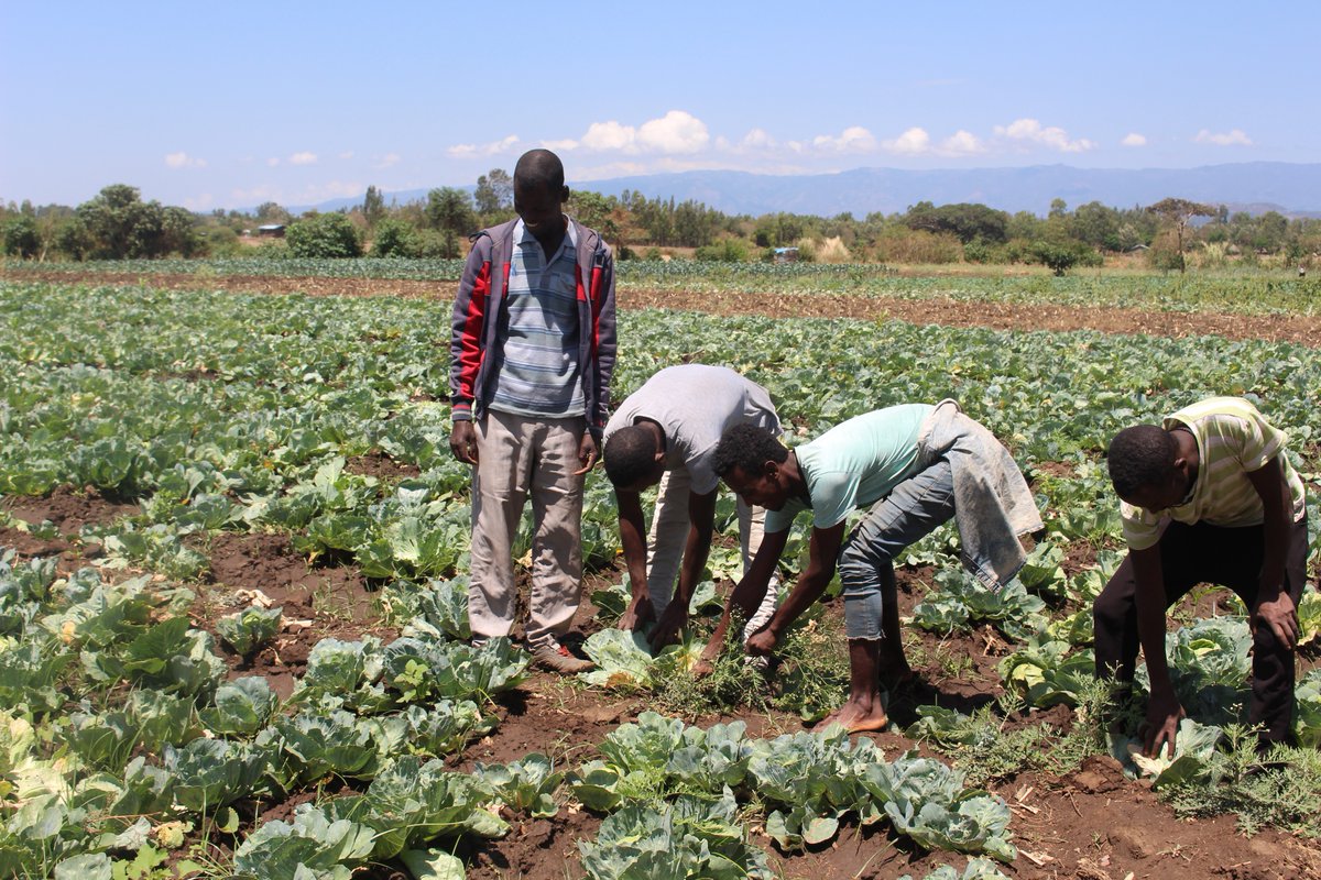 What are the obstacles holding back communities from delivering locally-led climate initiatives? ✋

New blog! Read the findings of a survey that looked at understanding top barriers that detract from investment in #ClimateAdaptation action 👇
iied.org/how-fix-fundin…