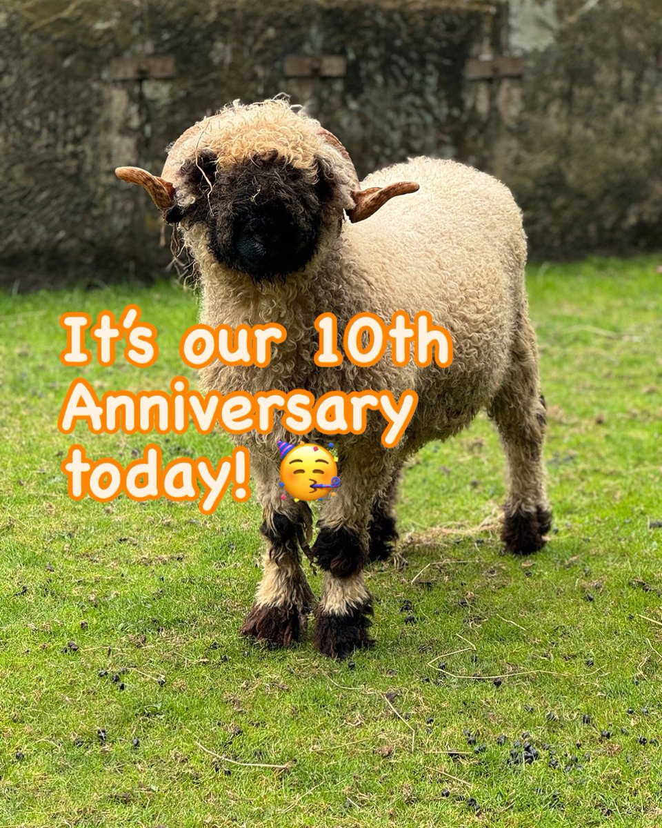 Can’t believe it’s been 10 years since we took over running Croxteth Park Farm! Join us for anniversary celebrations this weekend 🥳🐄🐓🐐🐴🐰🐷 #farm #familyfun #rarebreeds