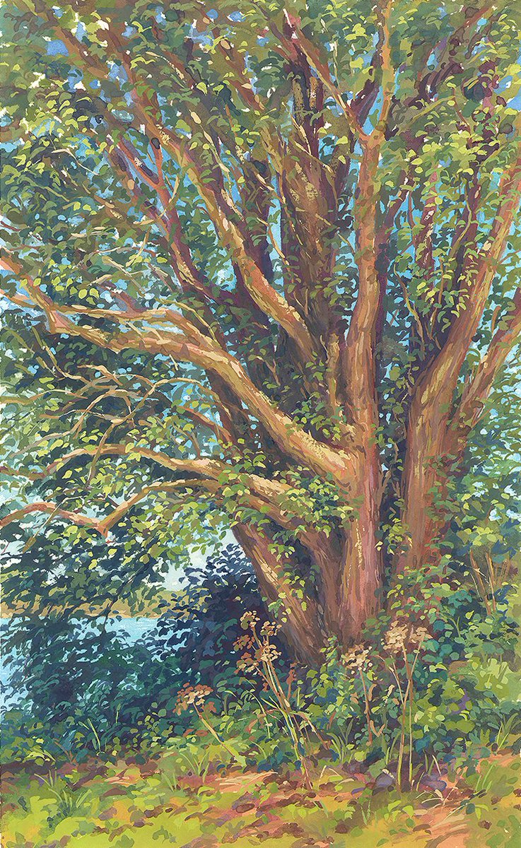 Enjoying the first hints of Autumn ☺️🌿🍂