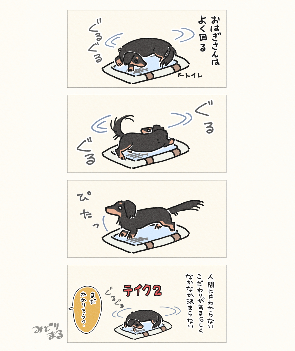 犬のトイレ事情
