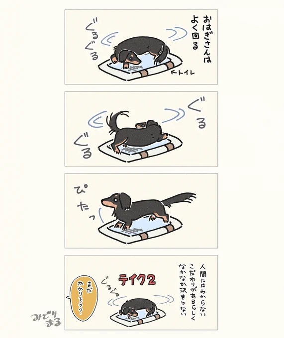 犬のトイレ事情