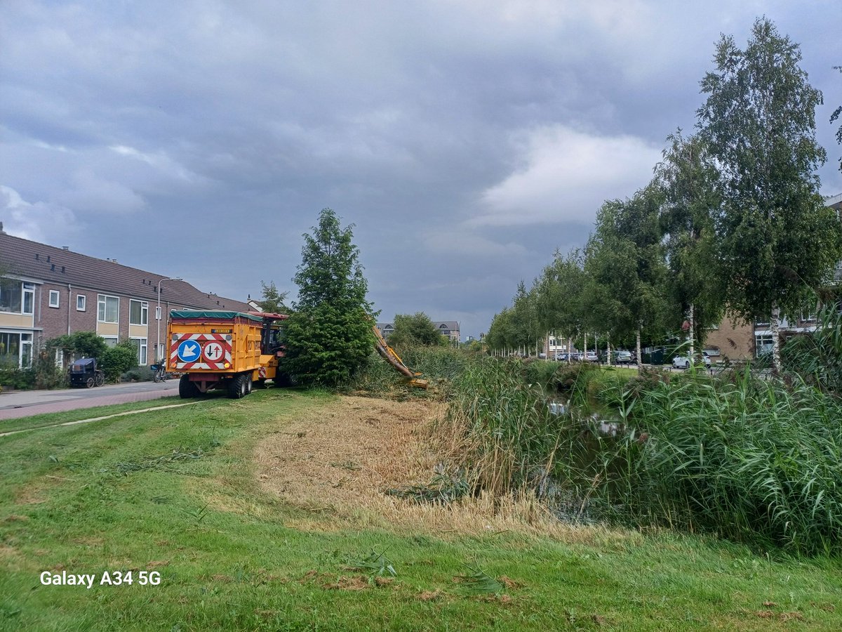 Wacht eens even...wordt daar een stuk riet overgeslagen? Ja! De slootkanten worden gefaseerd gemaaid. Dieren kunnen blijven schuilen in de stukken die dit jaar niet aan de beurt zijn. Goed bezig <a href="/GemeenteVSN/">Gemeente Voorschoten</a> <a href="/GroenlinksV/">GroenLinks Voorschoten</a>