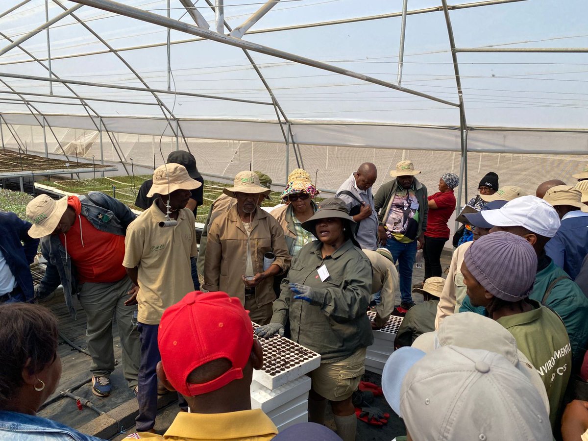 SeritiInstitute's tweet image. Farmers Day in action! The Seedling and Vermicompost Demonstrations are underway, offering practical insights into sustainable farming practices and innovation.

#2ndAnnualFarmersDay #WorkLearnGrow #WLG #Seriti #DeelpanAgriNode #Agriculture #environmentalawarenes #sustainability