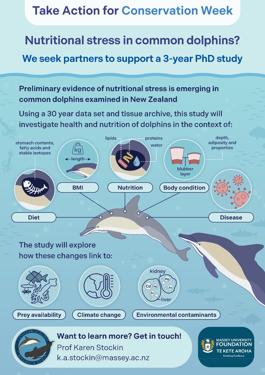 Karen Stockin (@karen_stockin) on Twitter photo Take Action for Conservation Week 2024 - #CERG, <a href="/NatSciMassey/">Natural Sciences at Massey</a>, <a href="/MasseyUni/">Massey University</a>, <a href="/docgovtnz/">Department of Conservation</a> Take Action for Conservation Week 2024 - #CERG, <a href="/NatSciMassey/">Natural Sciences at Massey</a>, <a href="/MasseyUni/">Massey University</a>, <a href="/docgovtnz/">Department of Conservation</a>