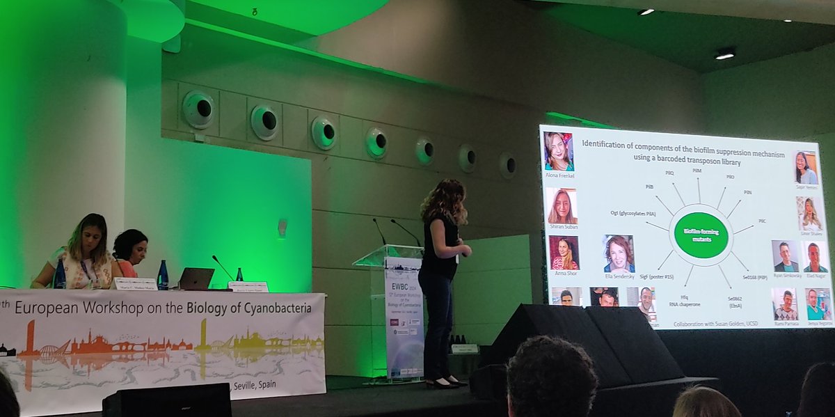 ewbc2024's tweet image. More cell biology talks!! #EWBC2024