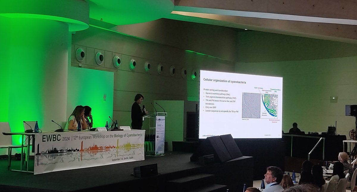 ewbc2024's tweet image. More cell biology talks!! #EWBC2024