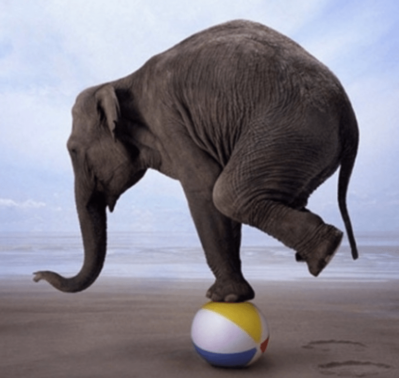 Exercise and Lymphedema: Finding the Right Balance - mailchi.mp/thecompression…