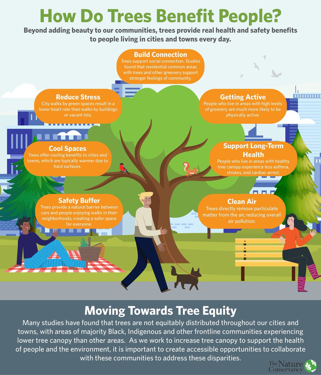 Siddhartha Manaktala (@sidmanaktala) on Twitter photo Great pictorial depiction of the ‘Benefit of Trees’ 🌳🌴🌲 #TreesRlife <a href="/JadDaley/">Jad Daley</a> <a href="/moefcc/">MoEF&CC</a> <a href="/grow_trees/">Grow-Trees.com</a> Great pictorial depiction of the ‘Benefit of Trees’ 🌳🌴🌲 #TreesRlife <a href="/JadDaley/">Jad Daley</a> <a href="/moefcc/">MoEF&CC</a> <a href="/grow_trees/">Grow-Trees.com</a>
