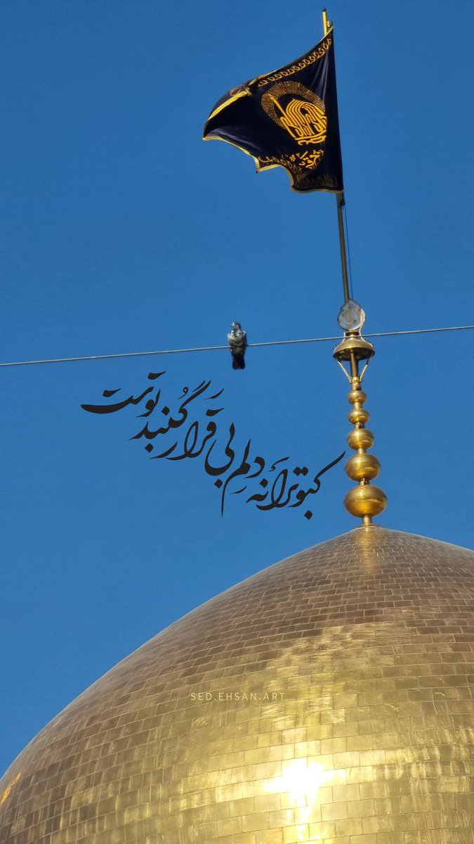 کبوترانه دلم بی قرار گنبد توست.

#همه_خادم_الرضایيم