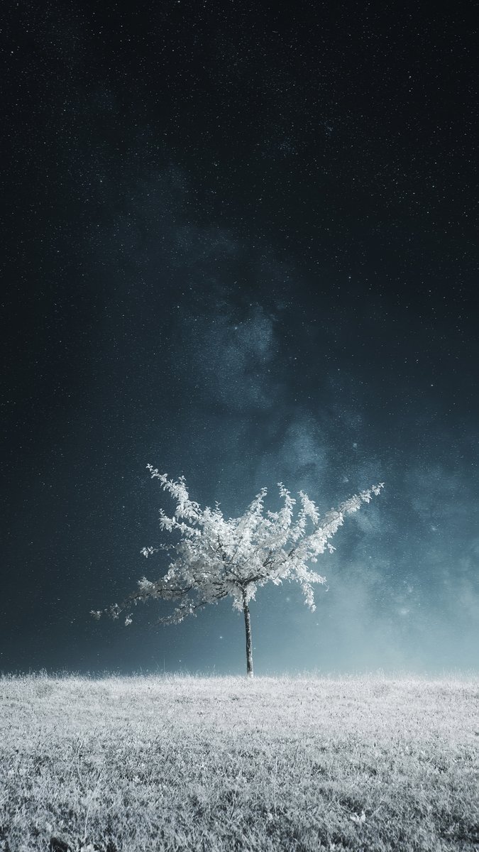 I just listed my two dynamic NFTs in $RARE 👀

<a href="/SuperRare/">SuperRare</a> is doing massive work and I'm so bullish on them.

I am also bullish on Dynamic NFTs as they are only possible in digital, which is what web3 is about.

Minted on <a href="/TransientLabs/">Transient Labs</a>
Listed through <a href="/ArtifactDotArt/">Artifact</a>