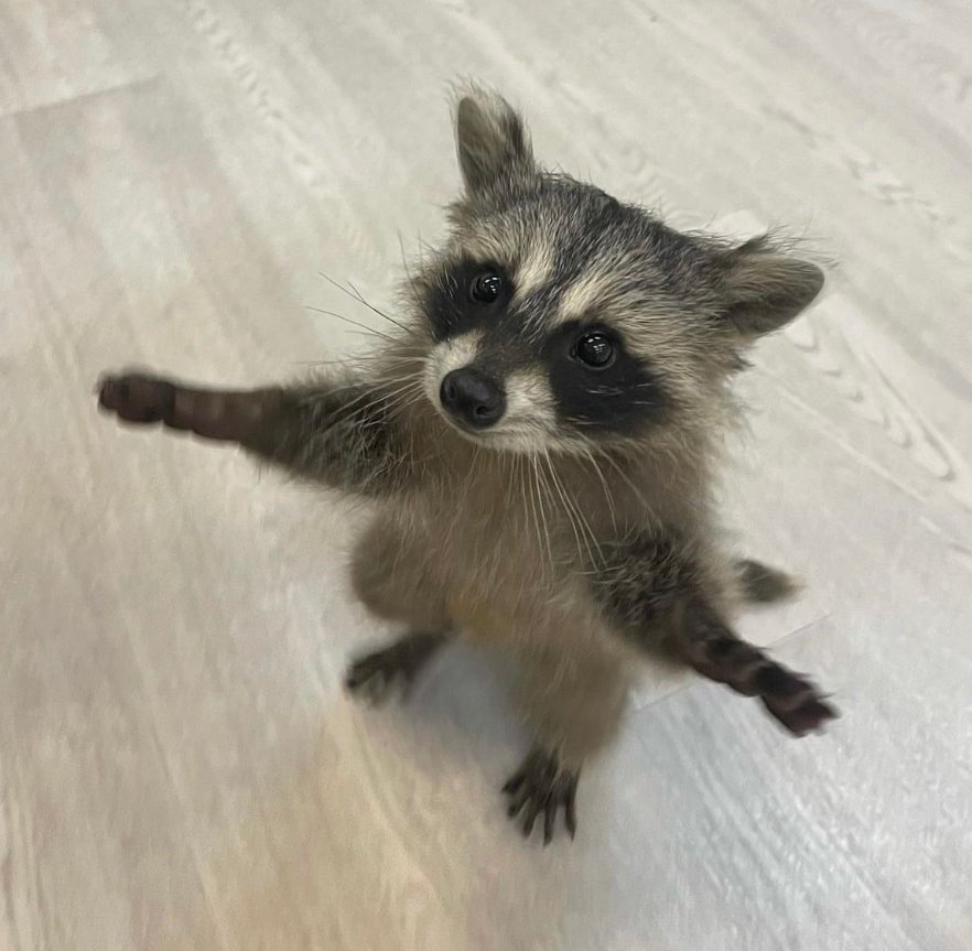 내 팔이 긴 이유는
너를 더 꽉 안아주기 위해서래
너를 꼭 안아 힘든 일을 녹여주기 위해서래
어때, 이 너부리의 품에 안겨보지 않겠어?
그리 말하는 너부리의 팔은 그닥 길지도, 누군가를 위로해줄 정도로 넓지도 않은 품이었지만..
와락 안긴 품은, 그 어떤 품보다 따스한 품이었던 것입니다...