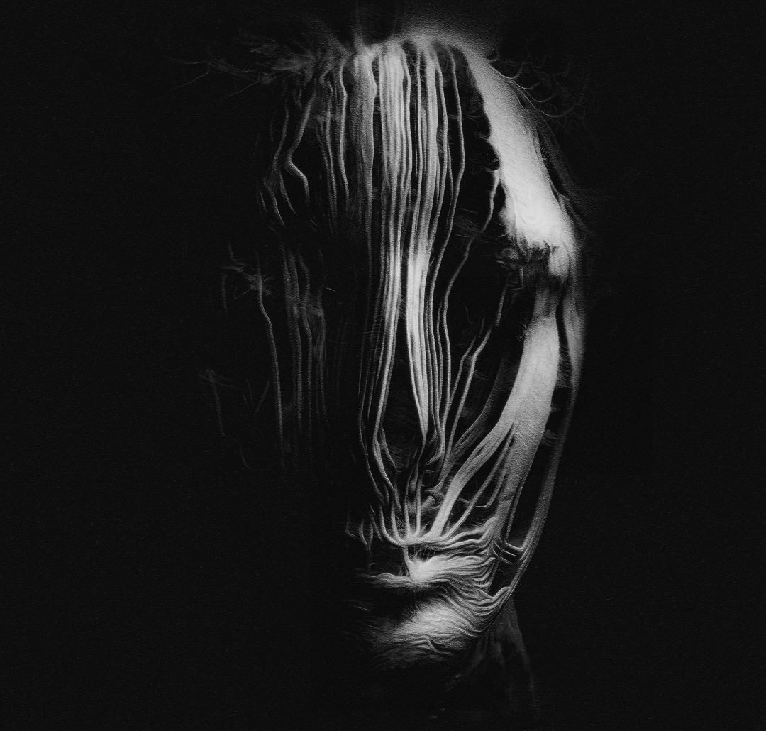 morpho_genesis's tweet photo. Corrupted https://t.co/rcImaaeMZN
