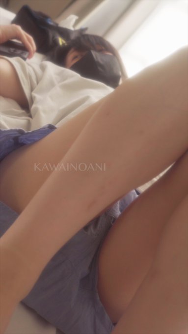 日向ぼっこしたよ😸 https://t.co/puHf3qUGNi