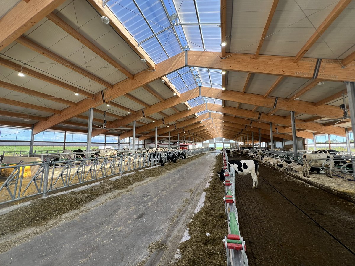 Trevor Dillman tweet media