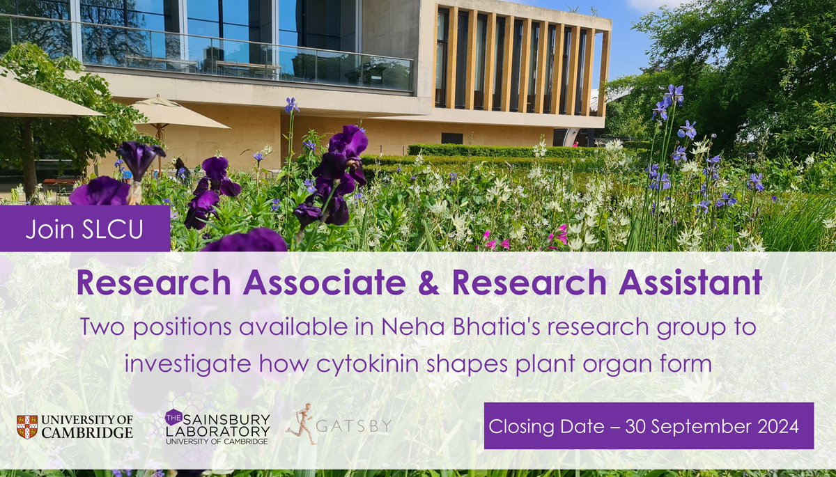 Sainsbury Laboratory Cambridge University (SLCU) (@slcuplants) on Twitter photo 🍃2 new #plantscijobs🍃
There are two positions now available in <a href="/neha_bhatia29/">Neha Bhatia</a>'s research group - Research Assistant and Research Associate.
🗓️Applications for both positions close 30 September
jobs.cam.ac.uk/job/48163/
jobs.cam.ac.uk/job/48137/
More info at slcu.cam.ac.uk/bhatia-group 🍃2 new #plantscijobs🍃
There are two positions now available in <a href="/neha_bhatia29/">Neha Bhatia</a>'s research group - Research Assistant and Research Associate.
🗓️Applications for both positions close 30 September
jobs.cam.ac.uk/job/48163/
jobs.cam.ac.uk/job/48137/
More info at slcu.cam.ac.uk/bhatia-group