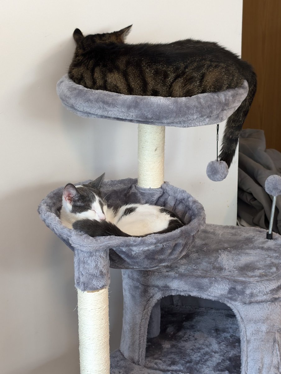 Novaloux Too tweet media