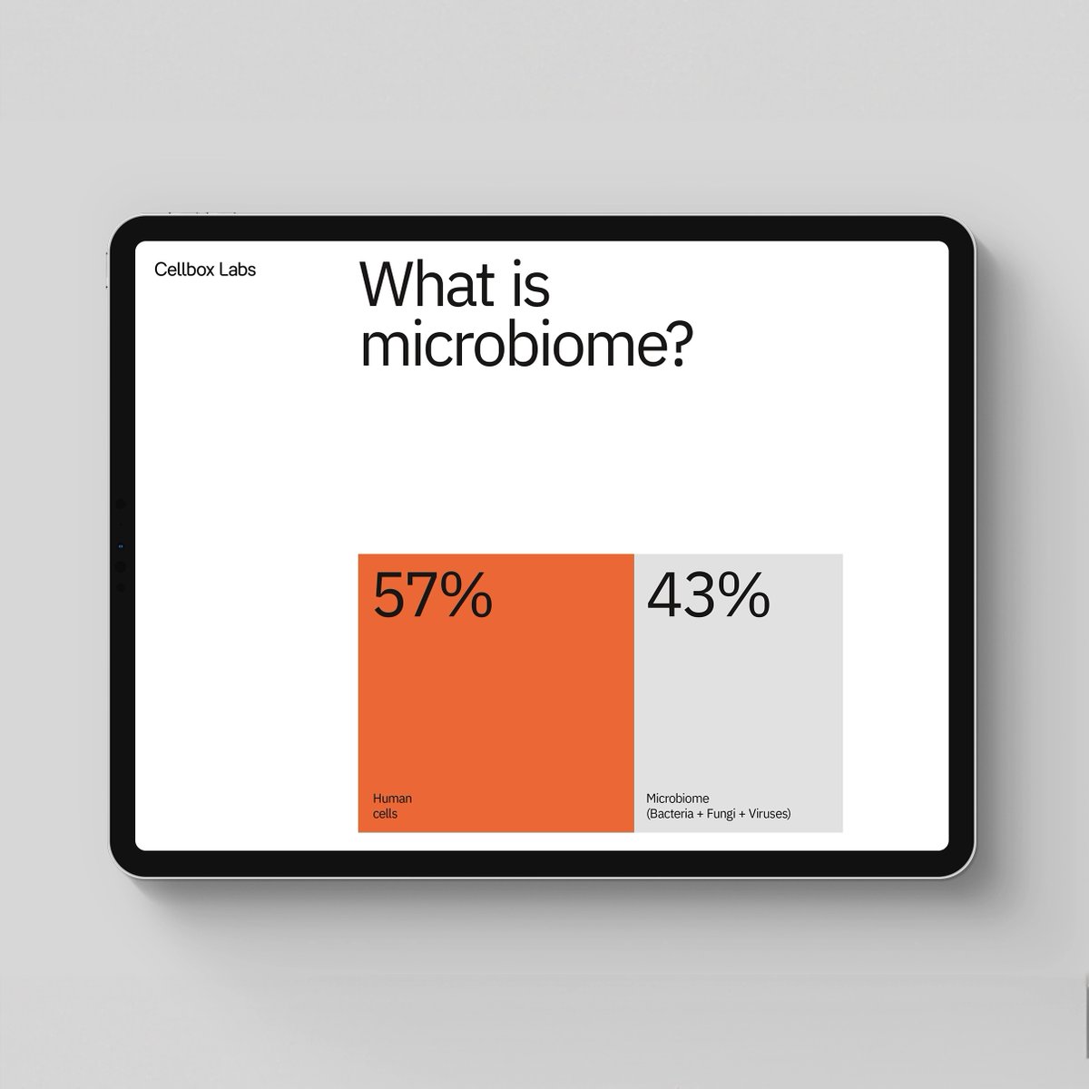 asketic's tweet photo. Visual Identity for Cellbox Labs https://t.co/0teDK0RQDj