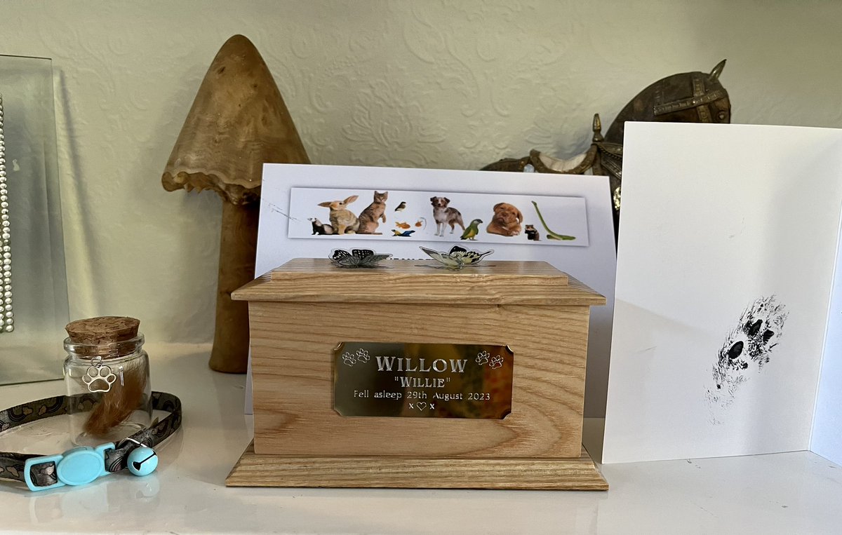 A year today I came home