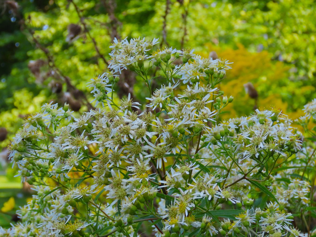 1AcreOfNorfolkNature tweet media