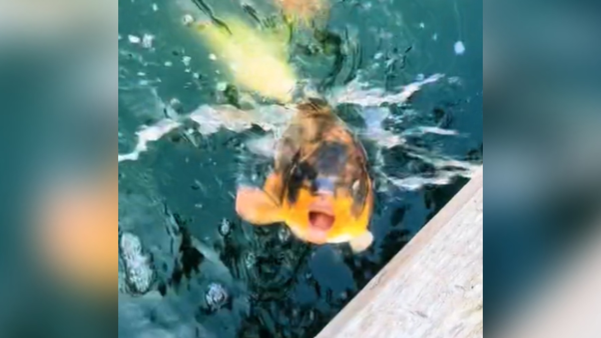 Aimi Amos tweet media